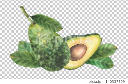 Avocado fruit composition. Watercolor hand drawn illustrations whole ripe avocado, halves vegetables with seed and leaves. Isolated from background food clipart for eco prints and cosmetic packaging. Avocado fruit composition. Watercolor hand drawn illustrations whole ripe avocado, halves vegetables with seed and leaves. Isolated from background food clipart for eco prints and cosmetic packaging. 140337509