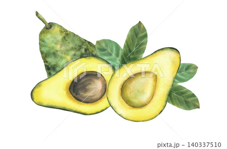 Avocado whole fruit, half with seed and green leaves. Hand draw watercolor illustration for healthy food. Botanical clipart of vegan vegetables for menu, packaging, recipe. Isolated from background Avocado whole fruit, half with seed and green leaves. Hand draw watercolor illustration for healthy food. Botanical clipart of vegan vegetables for menu, packaging, recipe. Isolated from background 140337510