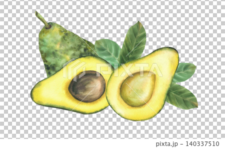 Avocado whole fruit, half with seed and green leaves. Hand draw watercolor illustration for healthy food. Botanical clipart of vegan vegetables for menu, packaging, recipe. Isolated from background 140337510