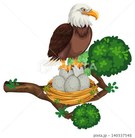 Eagle Guarding Nest on Tree Branch Illustration 140337548