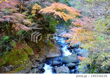 【神奈川県】紅葉に染まる早戸川渓谷の清流 140338226