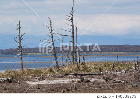 春の野付半島先端の風景 春の野付半島先端の風景 140338279