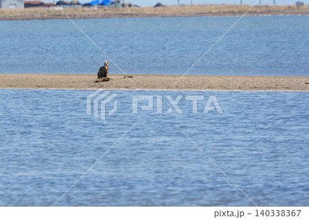 春の野付半島先端の風景 春の野付半島先端の風景 140338367
