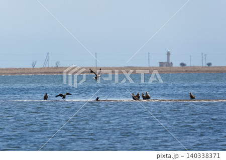 春の野付半島先端の風景 春の野付半島先端の風景 140338371