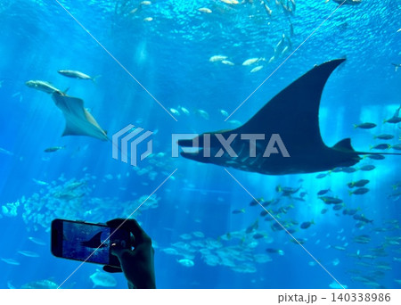 水族館で泳ぐ魚の写真を撮る姿 140338986