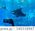 水族館で泳ぐ魚の写真を撮る姿 140338987