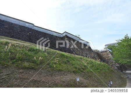 富岡城公園の風景 富岡城公園の風景 140339958