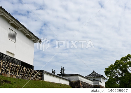 富岡城公園の風景 富岡城公園の風景 140339967