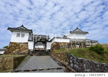 富岡城公園の風景 富岡城公園の風景 140339971