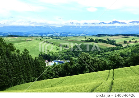 夏の北海道美瑛町の五稜周辺から見た美瑛の丘と十勝岳連峰 夏の北海道美瑛町の五稜周辺から見た美瑛の丘と十勝岳連峰 140340426