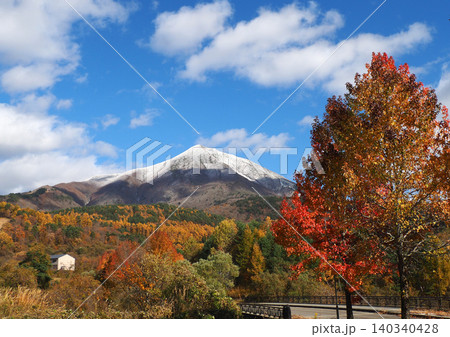 晩秋、赤や黄色の紅葉と冠雪した磐梯山とのコラボレーションが青空に印象的で綺麗だ。 140340428