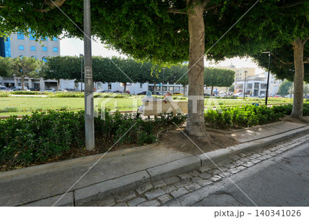 チュニジア チュニス 街の広場 Pasteur Square チュニジア チュニス 街の広場 Pasteur Square 140341026
