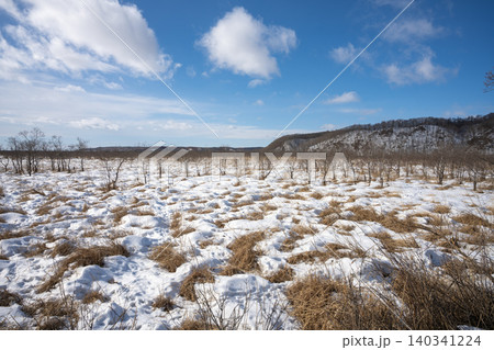 青空の下に広がる雪と枯れ草の釧路湿原の冬景色 青空の下に広がる雪と枯れ草の釧路湿原の冬景色 140341224