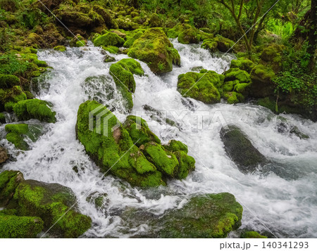 Moss blankets rocks as water rushes through a forest stream Moss blankets rocks as water rushes through a forest stream 140341293