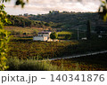 Sicilian vineyard estate at golden hour with rolling hills and farmhouse 140341876