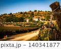 Sicilian vineyard at golden hour with dirt road leading to rural farmhouse 140341877