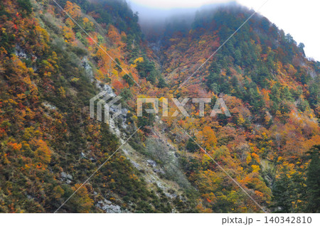 紅葉する山肌に霧がかかる 140342810