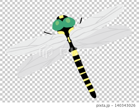 Strong dragonfly (No outline) Strong dragonfly (No outline) 140343026