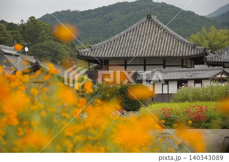 秋の花と飛鳥寺 140343089