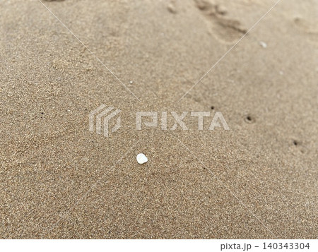 砂浜に残る白い貝殻 砂浜に残る白い貝殻 140343304