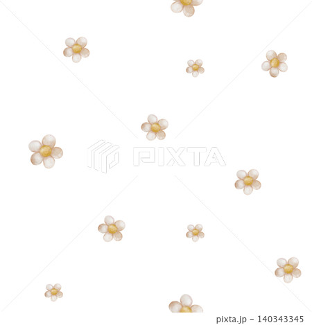 Seamless pattern with white chamomile or daisies on isolated background. Endless ornament for baby textiles, bedding or clothing. Romantic design of daisies for packaging and design. 140343345