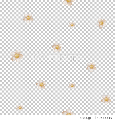 Seamless pattern with white chamomile or daisies on isolated background. Endless ornament for baby textiles, bedding or clothing. Romantic design of daisies for packaging and design. 140343345