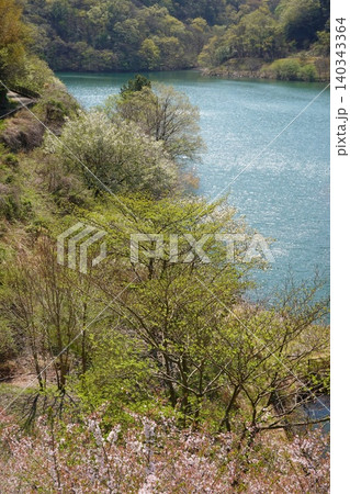 松川湖 奥野ダム 桜と新緑の季節 伊東市の水源 松川湖 奥野ダム 桜と新緑の季節 伊東市の水源 140343364