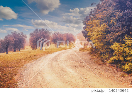 Misty autumn rural landscape. Dirt road in an olive plantation. Tuscany, Italy Misty autumn rural landscape. Dirt road in an olive plantation. Tuscany, Italy 140343642