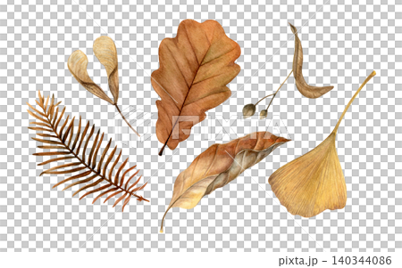 Watercolor set of dried autumn leaves and seeds. Ideal for seasonal stationery, packaging, textiles, wall art and nature-themed designs. Watercolor set of dried autumn leaves and seeds. Ideal for seasonal stationery, packaging, textiles, wall art and nature-themed designs. 140344086