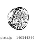 Lemon half ink sketch vector isolated illustration. Hand drawn monochrome outline citrus cut fruit piece for fresh juice bar menu design, organic skincare label and culinary recipe packaging 140344249