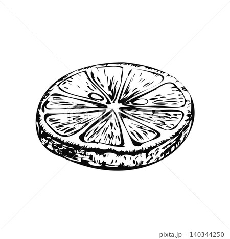 Lemon slice ink sketch vector isolated illustration. Hand drawn monochrome outline citrus cut round fruit piece for cocktail bar menu design, summer beverage label and herbal tea packaging 140344250