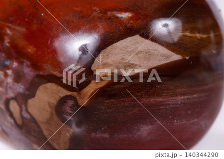 Macro mineral stone ground petrified tree on white background Macro mineral stone ground petrified tree on white background 140344290