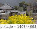 菜の花が咲く春の飛鳥寺 菜の花が咲く春の飛鳥寺 140344668