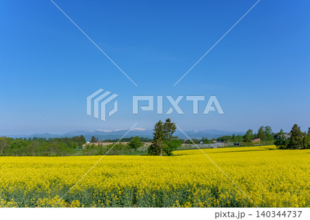 たきかわ菜の花まつり 北海道滝川市に広がる黄色い菜の花畑と青空 たきかわ菜の花まつり 北海道滝川市に広がる黄色い菜の花畑と青空 140344737
