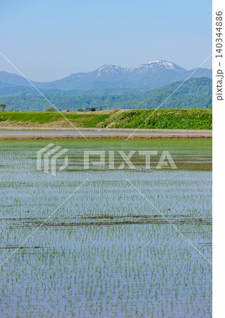 北海道雨竜町の田植え直後の水田と残雪残る山並み 石狩平野の田園風景 北海道雨竜町の田植え直後の水田と残雪残る山並み 石狩平野の田園風景 140344886