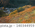 柿紅葉の飛鳥 柿紅葉の飛鳥 140344959