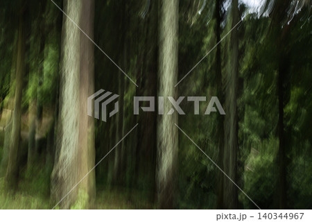 森林のICM 森林のICM 140344967