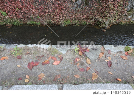 秋の川と小道 秋の川と小道 140345519