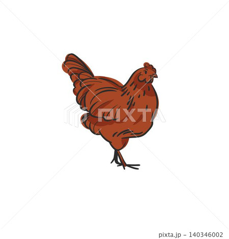 Hand drawn abstract vector graphic illustration collection with cute, stylized domestic animals rooster and hen character.Trendy modern farm design concept.Vector line farm animal symbol. animal icons 140346002