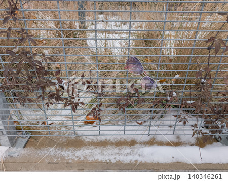 Lost sunglasses hanging on a fence in winter Lost sunglasses hanging on a fence in winter 140346261
