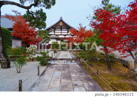 京都 天竜寺塔頭 松巌寺の秋 京都 天竜寺塔頭 松巌寺の秋 140346315