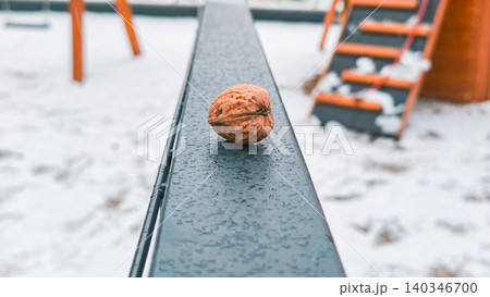 Walnut shell resting on wet railing in winter 140346700