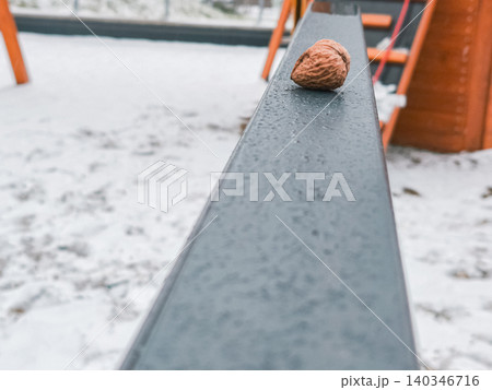 Walnut resting on playground railing in winter Walnut resting on playground railing in winter 140346716
