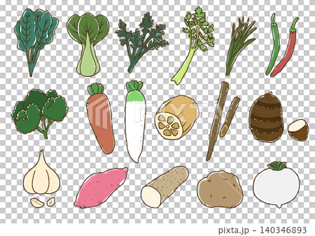 ラフな野菜の線画　色あり2 140346893