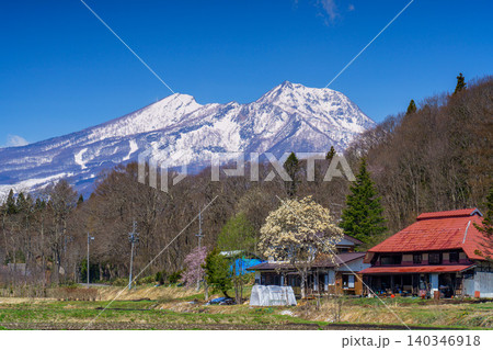 長野県信濃町の春 古民家とハクモクレンと残雪の妙高山 140346918