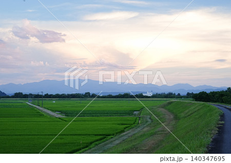山形県_白鷹町_田園風景 山形県_白鷹町_田園風景 140347695