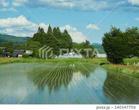 春の長野県の安曇野市の美しい水田と農家の風景 春の長野県の安曇野市の美しい水田と農家の風景 140347759