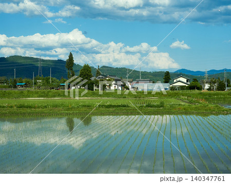春の長野県の安曇野市の美しい水田と農家の風景 春の長野県の安曇野市の美しい水田と農家の風景 140347761