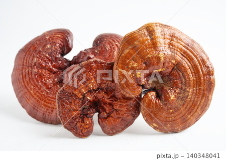 Lingzhi or Reishi mushroom isolated on white background. 140348041