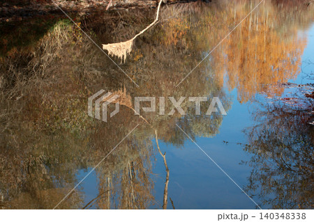 reflection of trees in water reflection of trees in water 140348338